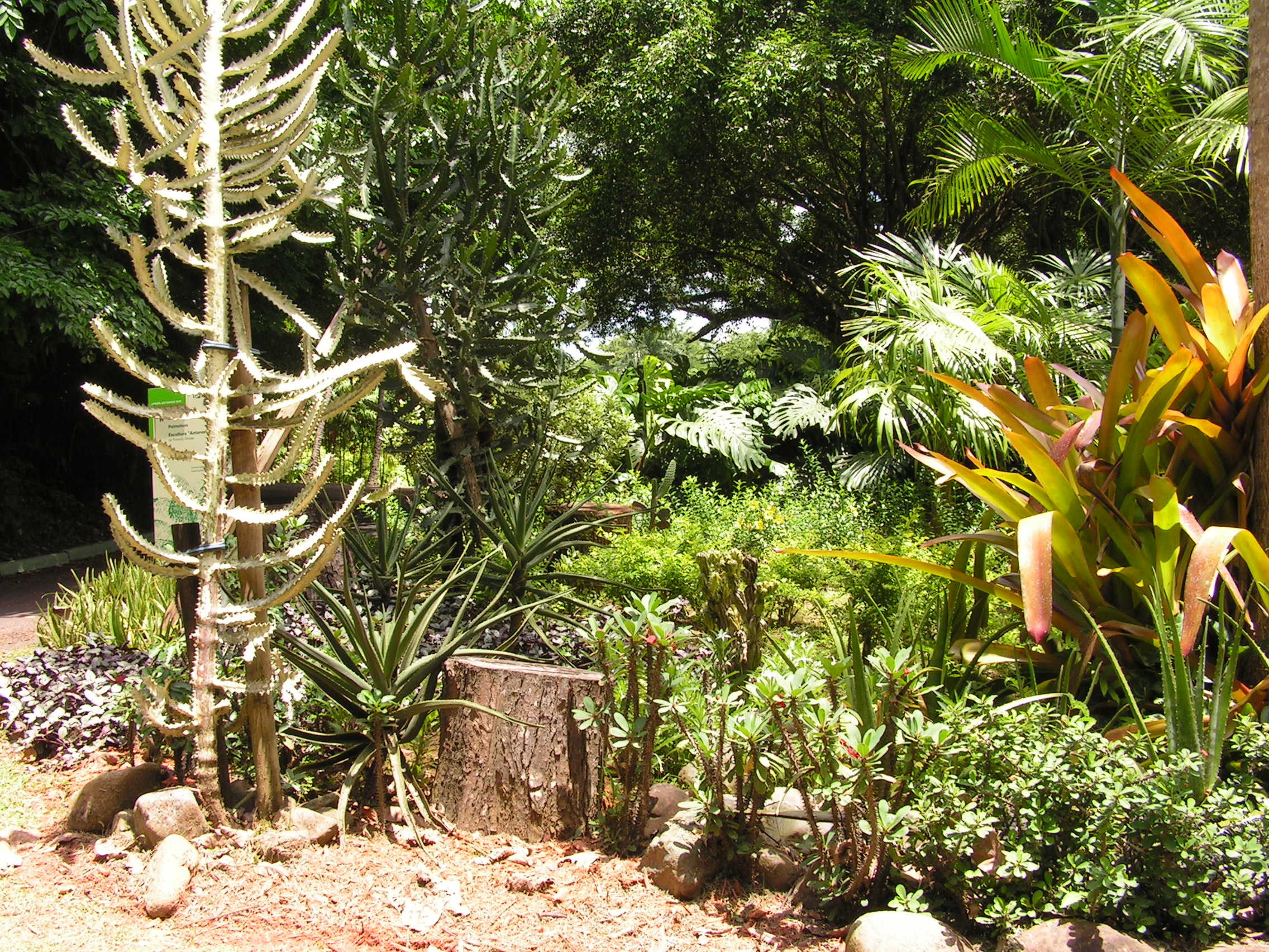 ./2005/Puerto Rico/Part 2/PICT0147.JPG